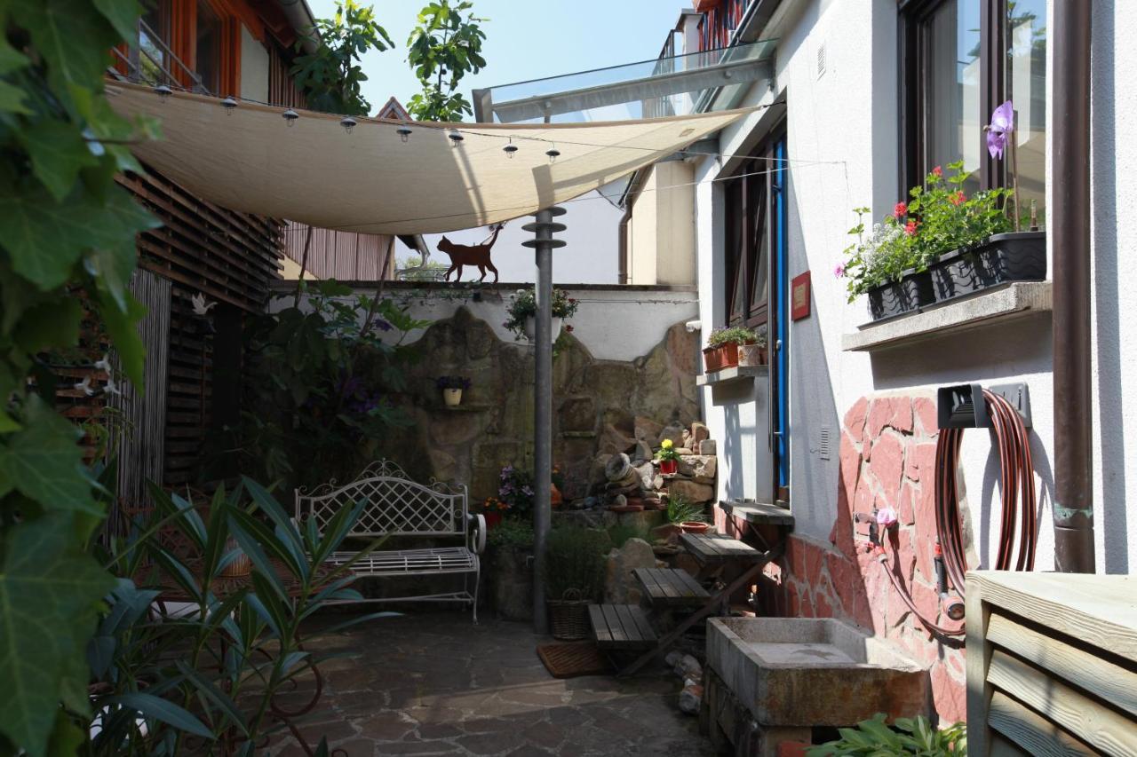 Maison Marie Ubstadt-Weiher 外观 照片
